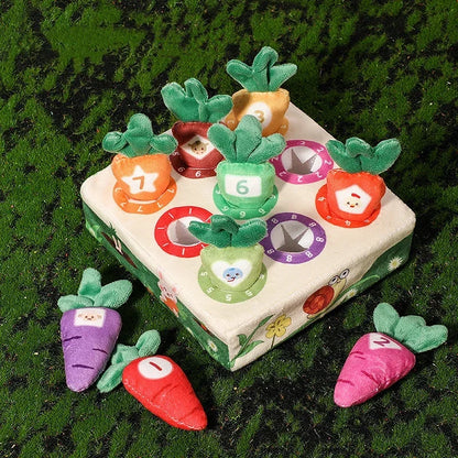 Montessori Carrot Harvest Color Sorting Puzzle Toy