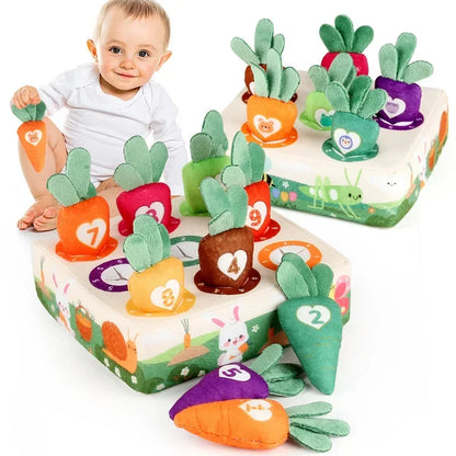 Montessori Carrot Harvest Color Sorting Puzzle Toy