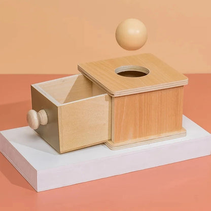 4 In 1 Play Kit Montessori Object Permanence Box Coin Carrot