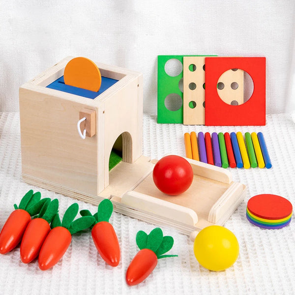 4 In 1 Play Kit Montessori Object Permanence Box Coin Carrot