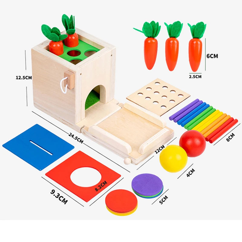 4 In 1 Play Kit Montessori Object Permanence Box Coin Carrot