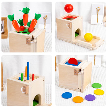 4 In 1 Play Kit Montessori Object Permanence Box Coin Carrot