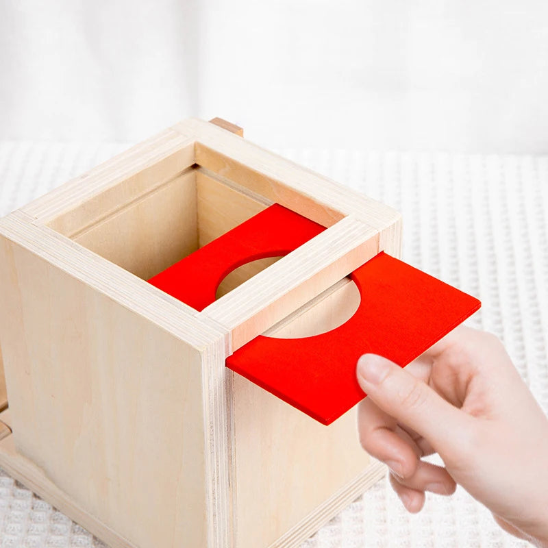 4 In 1 Play Kit Montessori Object Permanence Box Coin Carrot