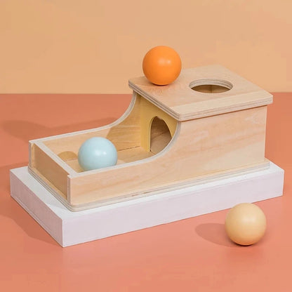 4 In 1 Play Kit Montessori Object Permanence Box Coin Carrot