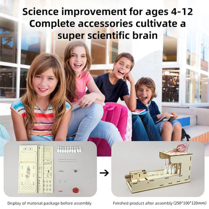 DIY Bowling Kit DIY Science Experiment Kit & Education Model